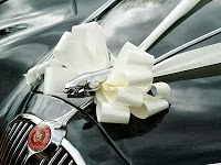 Aristocat Classic Jaguar Wedding Car Hire 1046655 Image 2
