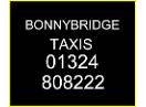 BONNYBRIDGE 8 SEATER TAXIS 1032662 Image 5