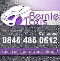 Bernie Taxi Services 1046817 Image 0
