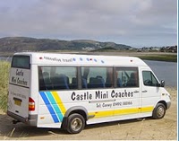 Castle Mini Coaches 1049159 Image 3