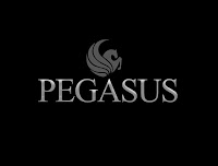 Pegasus City Chauffeurs 1036328 Image 0
