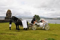 Prestige Wedding Carriages 1050510 Image 3