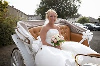 Prestige Wedding Carriages 1050510 Image 4