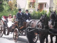 Prestige Wedding Carriages 1050510 Image 5