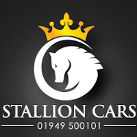 Stallion Cars 1042487 Image 2