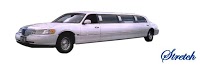 Step in Style Limousines 1050038 Image 2