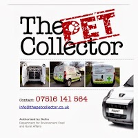 The Pet Collector 1047970 Image 4