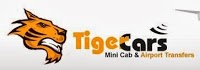 Tiger Cars 1033472 Image 0
