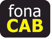 fonaCAB (Belfast) Ltd 1032959 Image 2