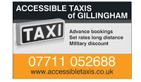 Accessible Taxis 1036481 Image 2