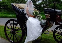 Blakewell Horse Drawn Wedding Carriage Hire 1044426 Image 1