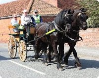 Blakewell Horse Drawn Wedding Carriage Hire 1044426 Image 2