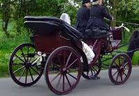 Blakewell Horse Drawn Wedding Carriage Hire 1044426 Image 3