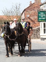 Blakewell Horse Drawn Wedding Carriage Hire 1044426 Image 4