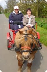 Blakewell Horse Drawn Wedding Carriage Hire 1044426 Image 5