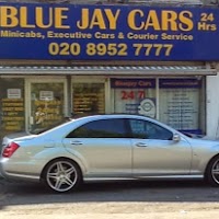 Blue Jay Cars 1031269 Image 0