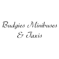 Budgies Minibuses and Taxis   Taxis in New Barnet 1043491 Image 0