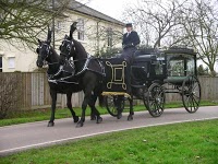 Carlton Carriages 1044763 Image 1