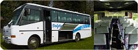 Dolphin Travel Coach Hire 1032787 Image 7