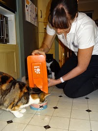Duty of Care Pet Services UK 1032937 Image 5