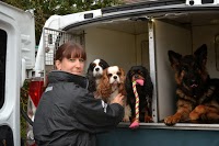 Duty of Care Pet Services UK 1032937 Image 7