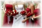 Free wedding quotes   cheapest deals 1048451 Image 1