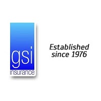 GSI Ltd 1034368 Image 1