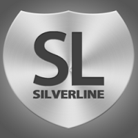 SILVERLINE TAXIS LTD 1033825 Image 4