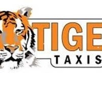 Tiger Taxis 1050831 Image 1