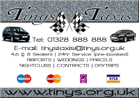 Tinys Taxis 1042611 Image 0